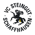 VC-Steingut SH